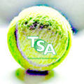 Tennisball_Waermebild_einzeln.png